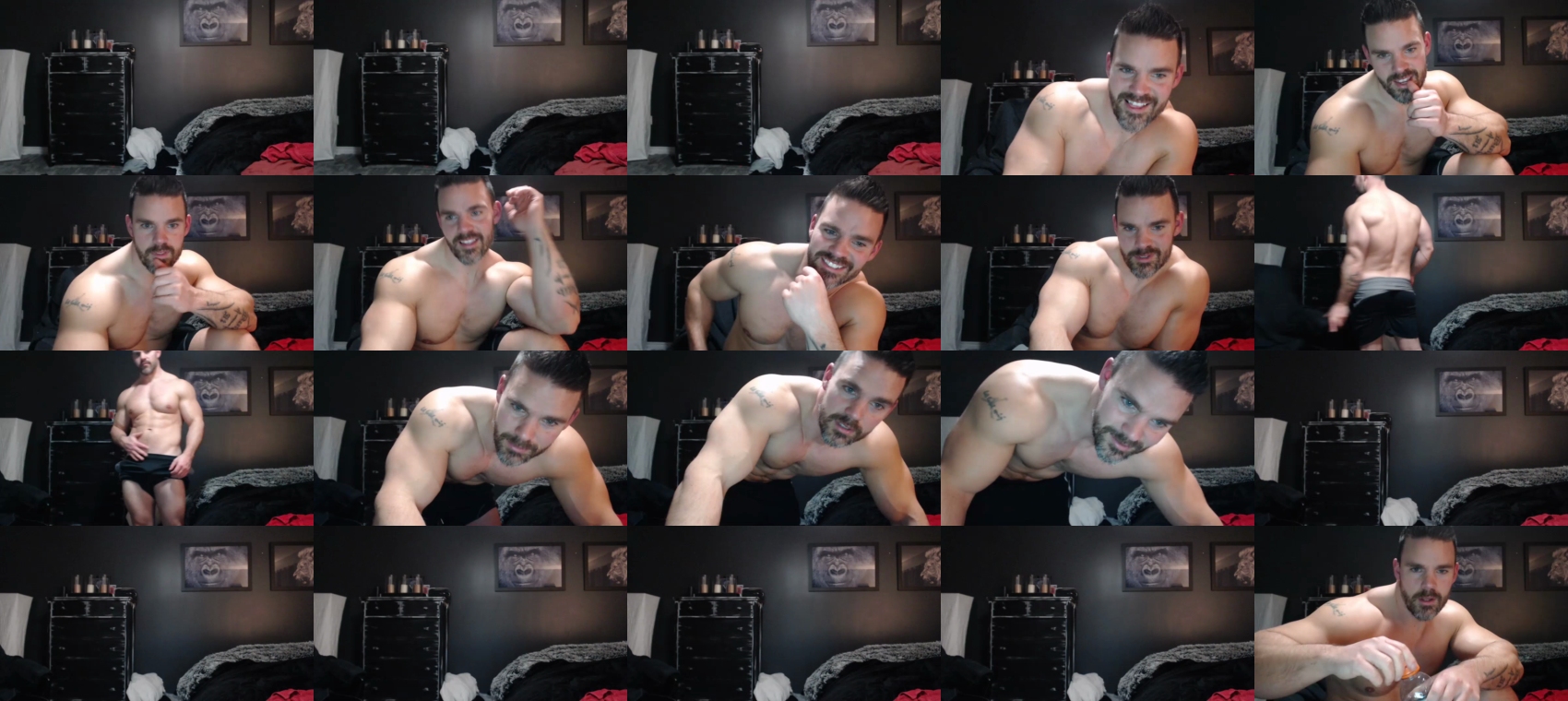 alexiarain  23-02-2022